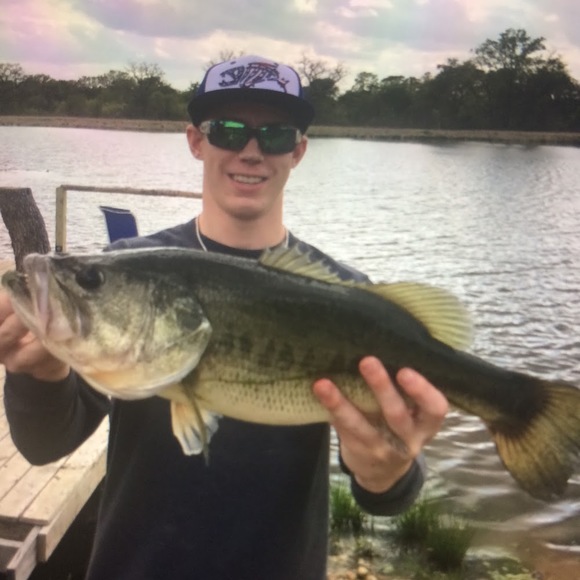 Meet your Posher, Ludwig - Picture 1 of 1